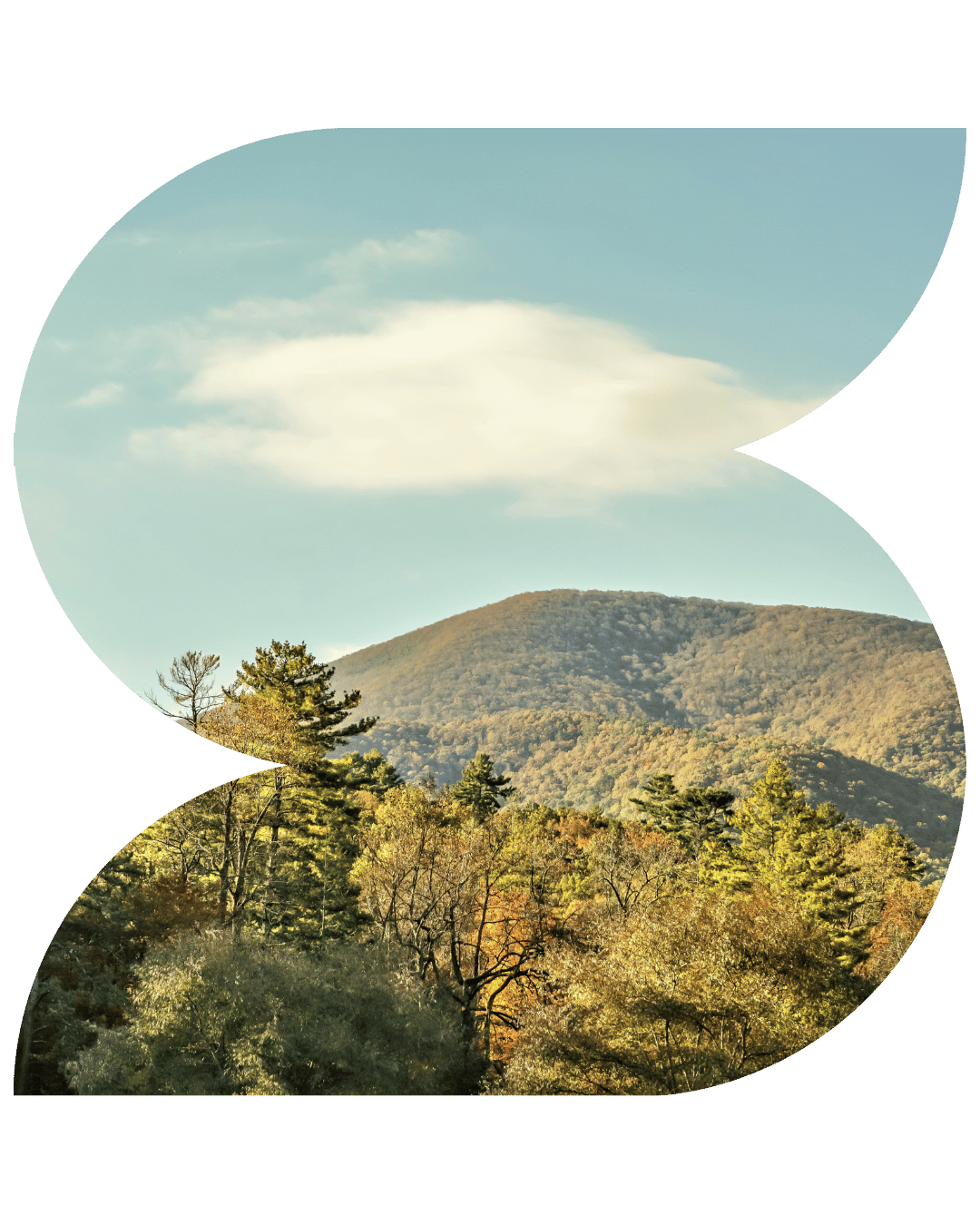 Northeast Georgia Marketing Services (1)