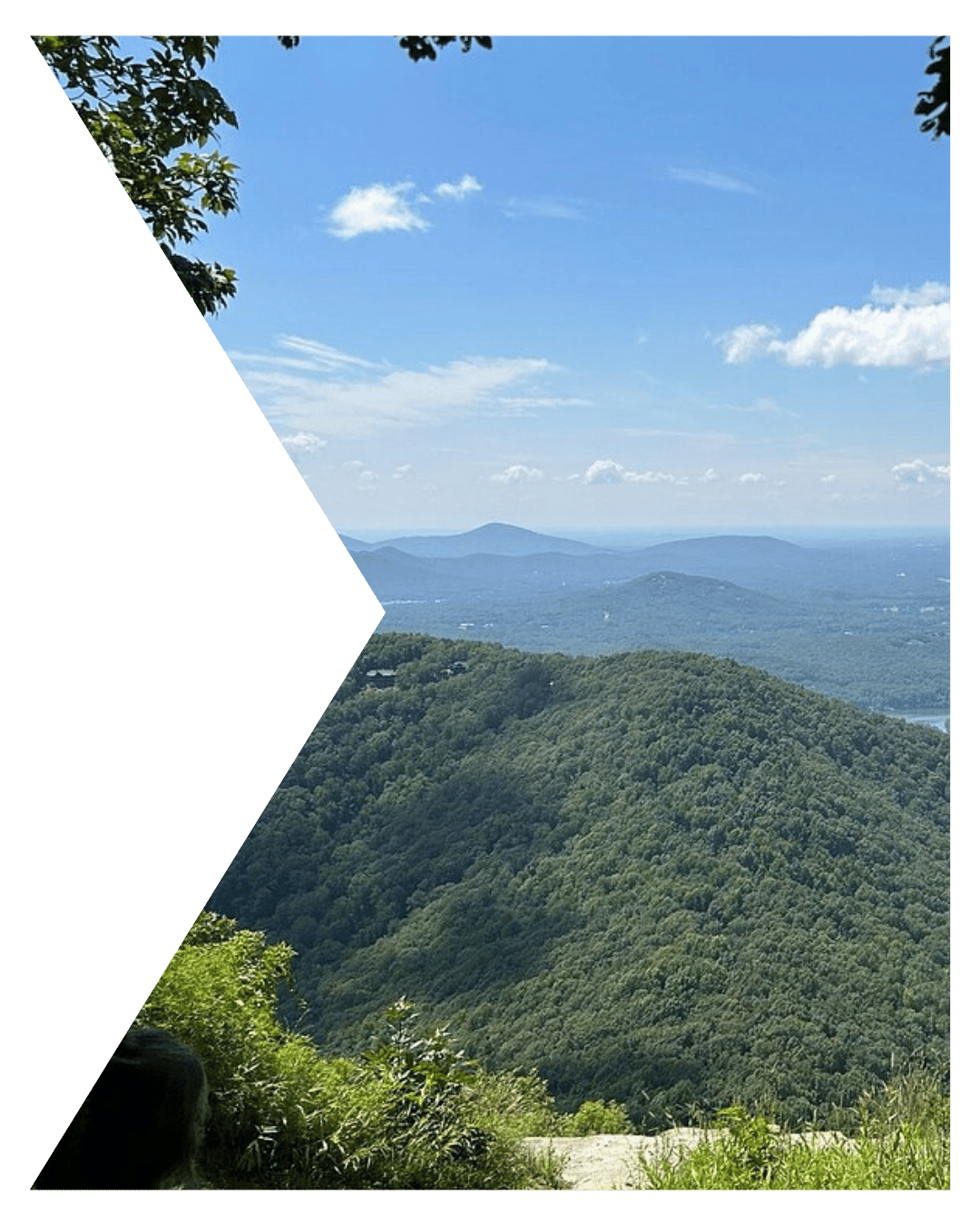 Northeast Georgia Marketing Services (5)